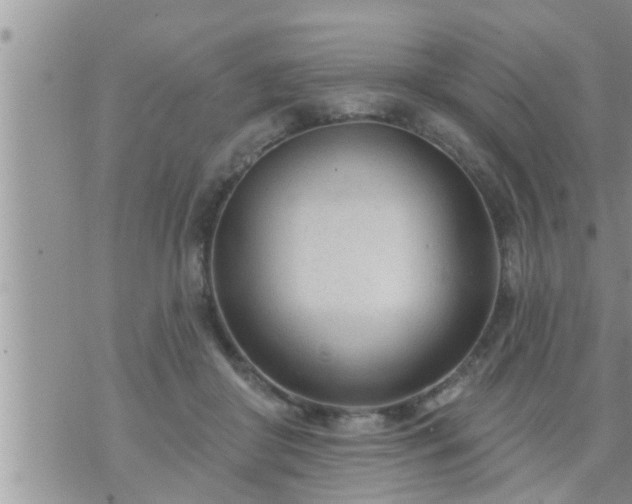 X0000073730410200608101935