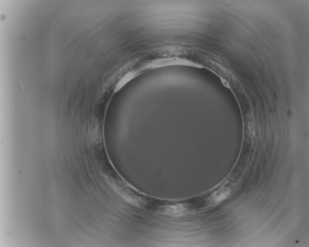 X0000073730411200608101935