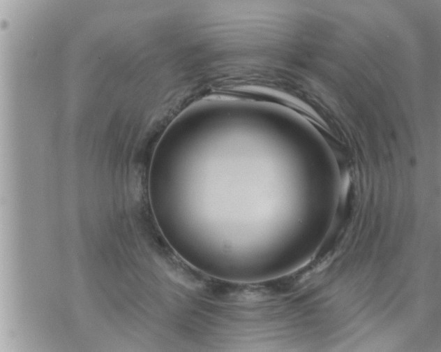 X0000073730412200608101935