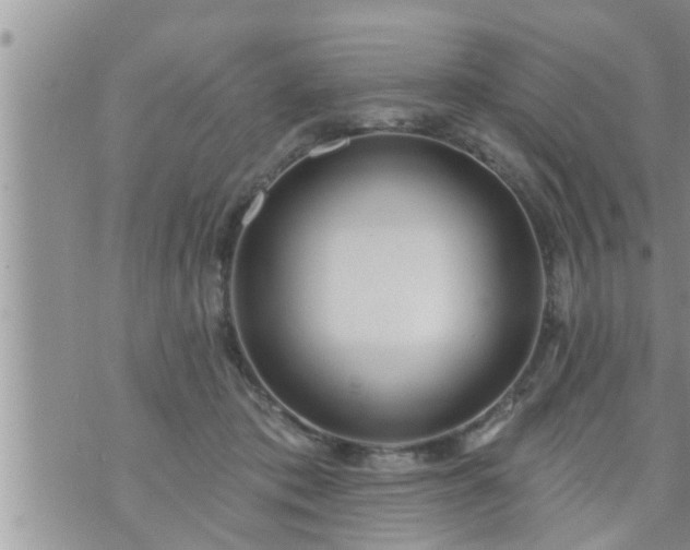 X0000073730413200608101935