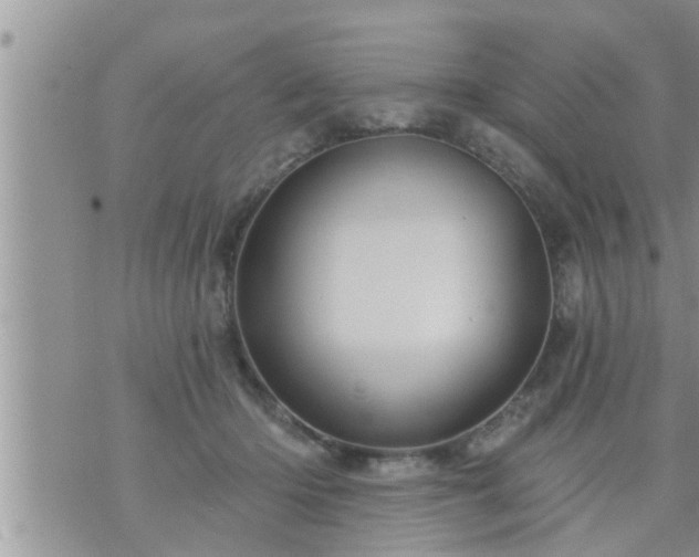 X0000073730414200608101935