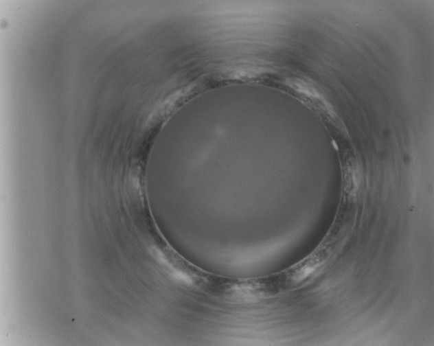 X0000073730415200608101935