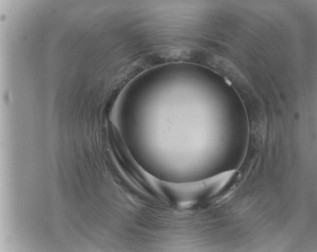 X0000073730416200608101935