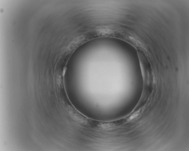 X0000073730417200608101935