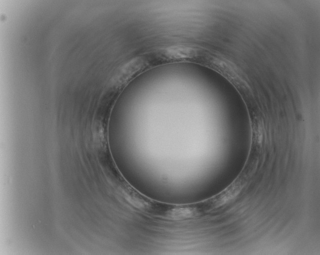 X0000073730418200608101935