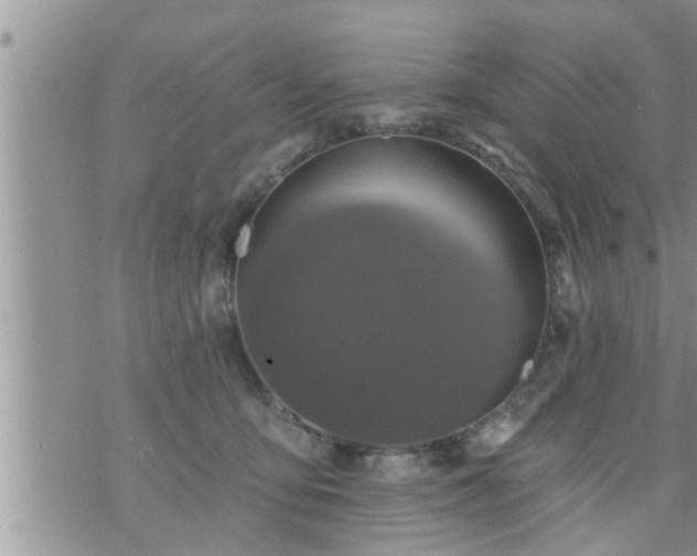 X0000073730419200608101934