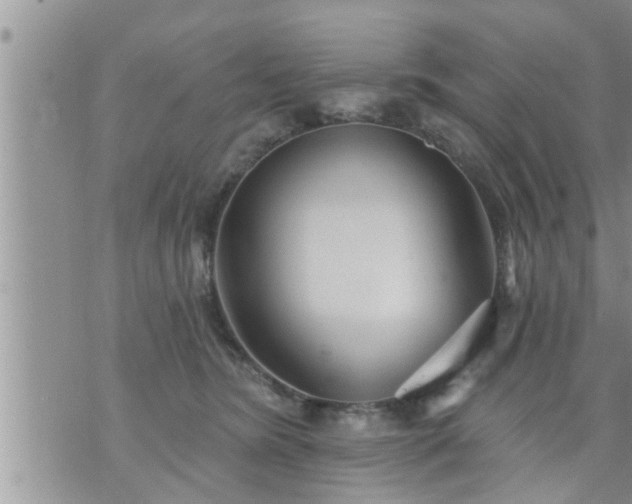 X0000073730420200608101934