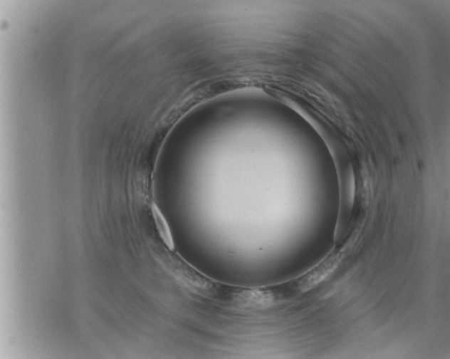 X0000073730421200608101934