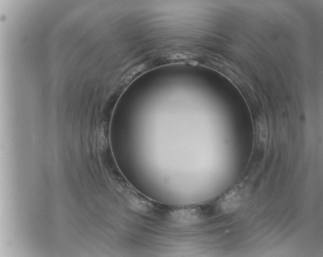 X0000073730422200608101934