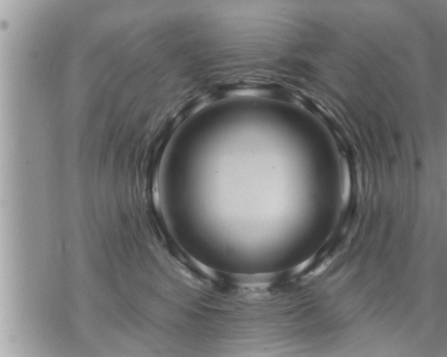 X0000073730424200608101934