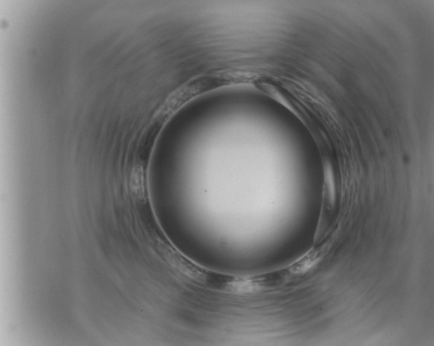 X0000073730425200608101934