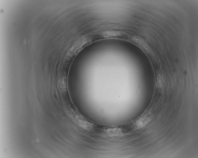 X0000073730426200608101934