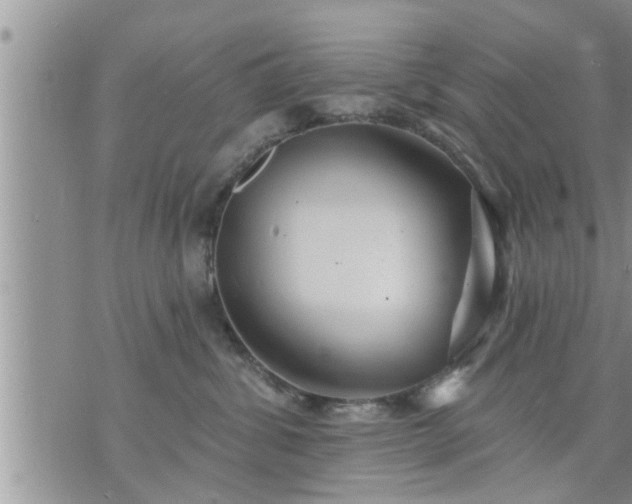 X0000073730428200608101934