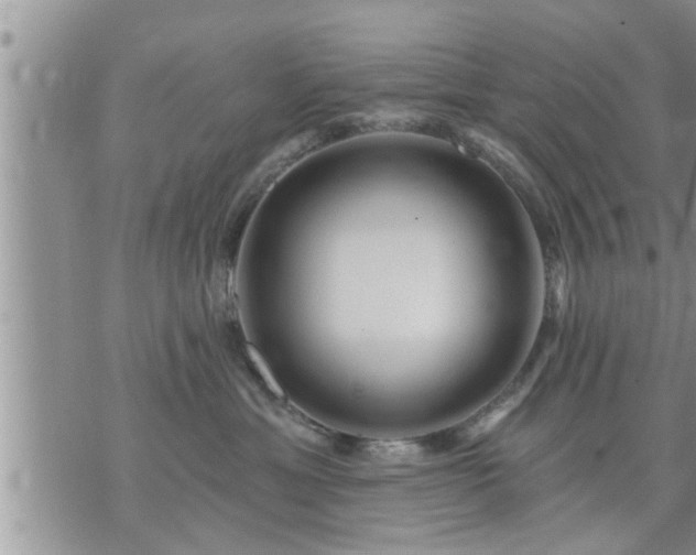 X0000073730429200608101934