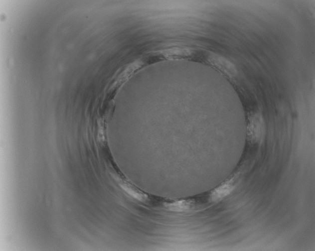 X0000073730430200608101934