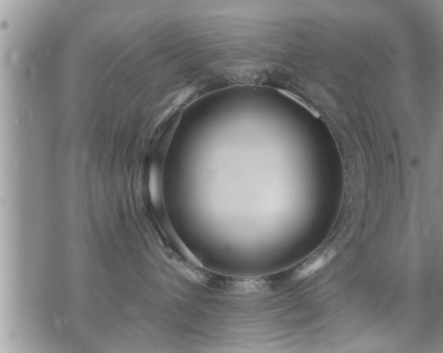 X0000073730432200608101934