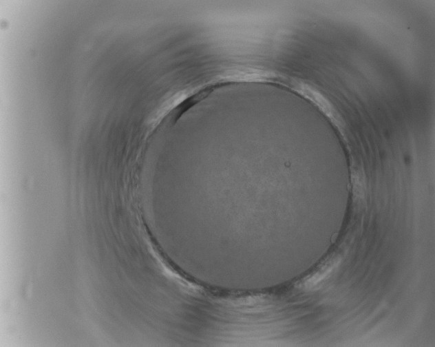 X0000073730433200608101934