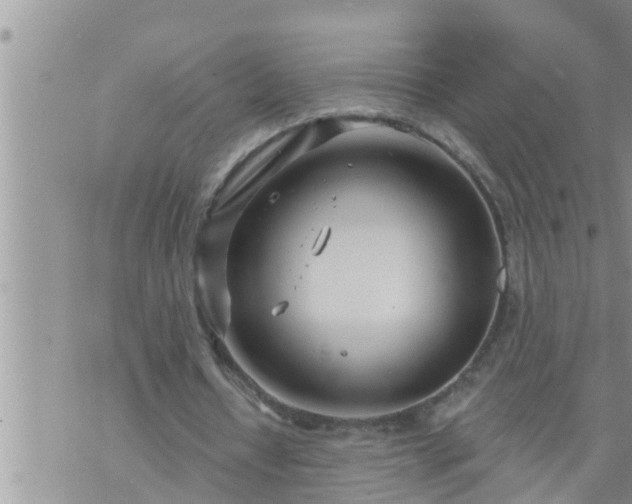 X0000073730434200608101934