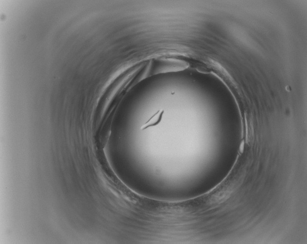 X0000073730435200608101934