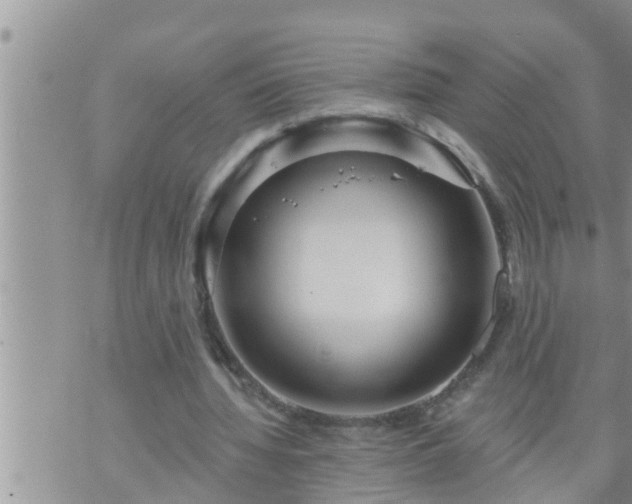 X0000073730436200608101934