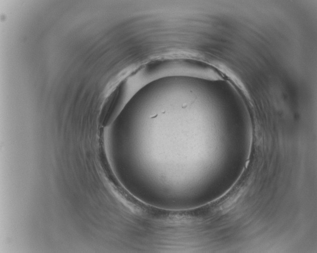 X0000073730437200608101934