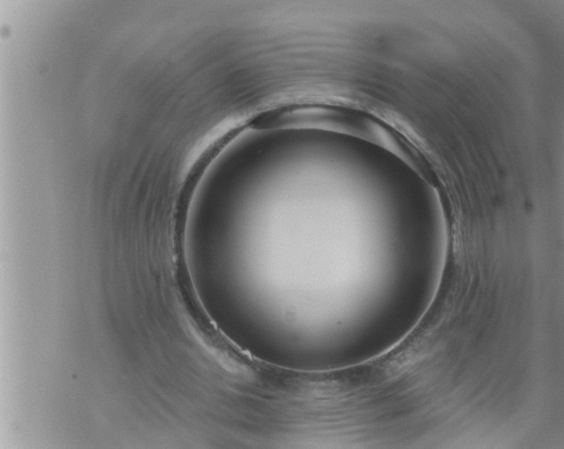 X0000073730438200608101934