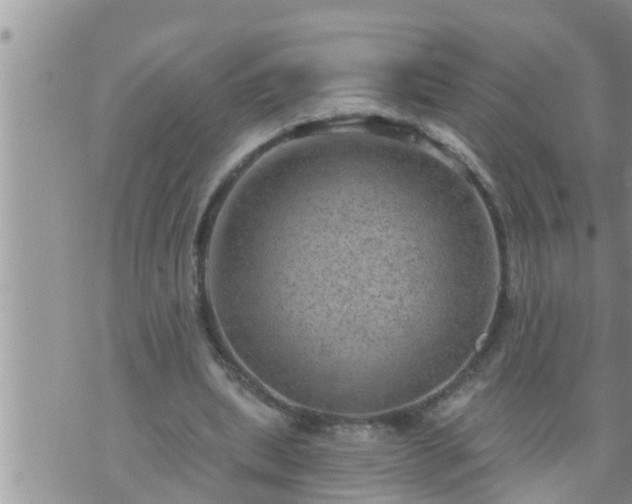 X0000073730439200608101934