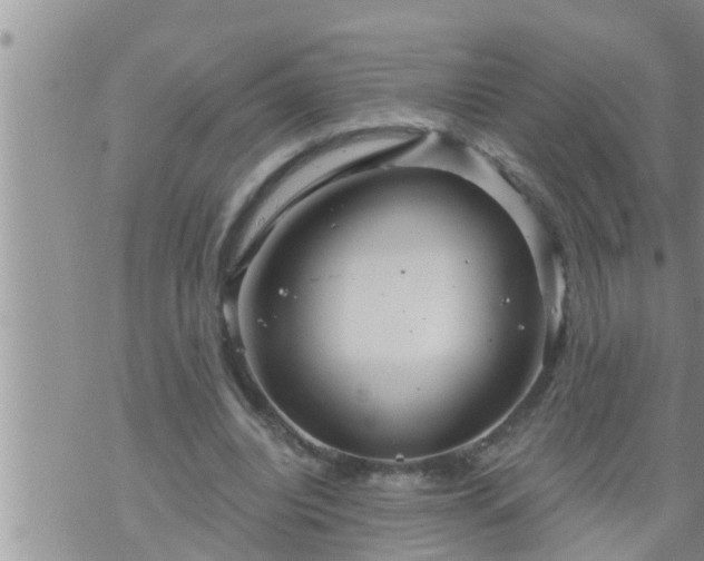 X0000073730440200608101934