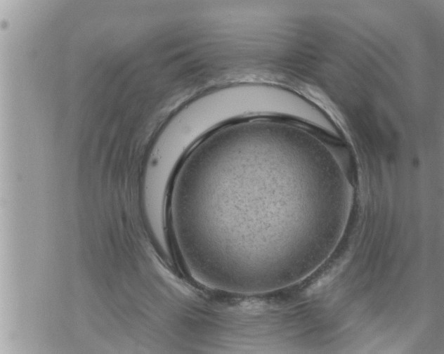 X0000073730441200608101934