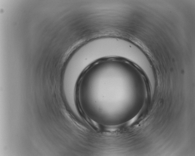 X0000073730442200608101934