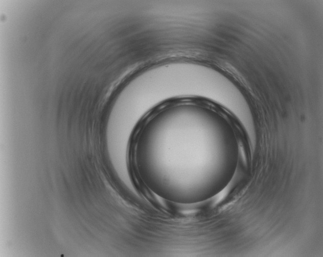 X0000073730444200608101934