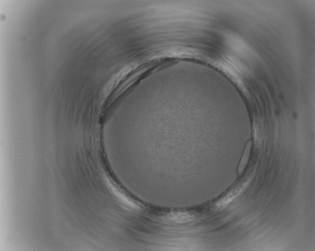 X0000073730445200608101934