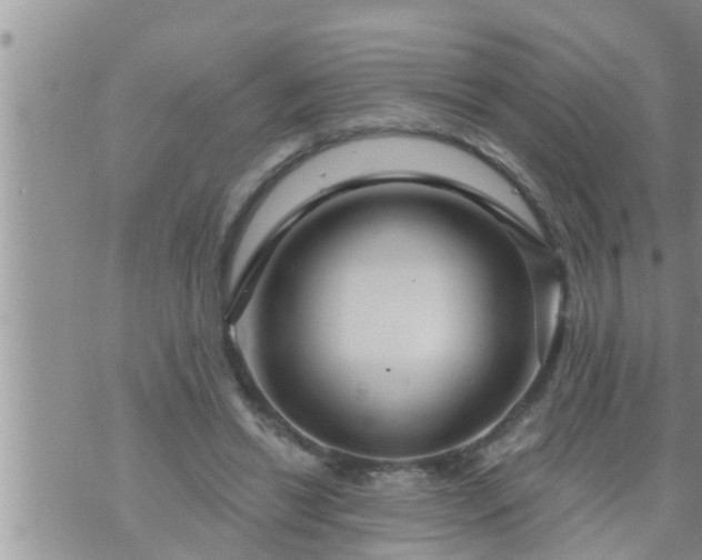 X0000073730446200608101934