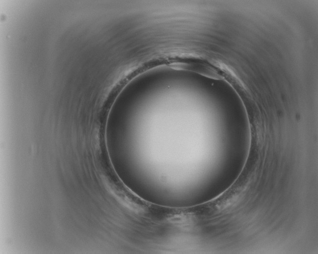 X0000073730447200608101934