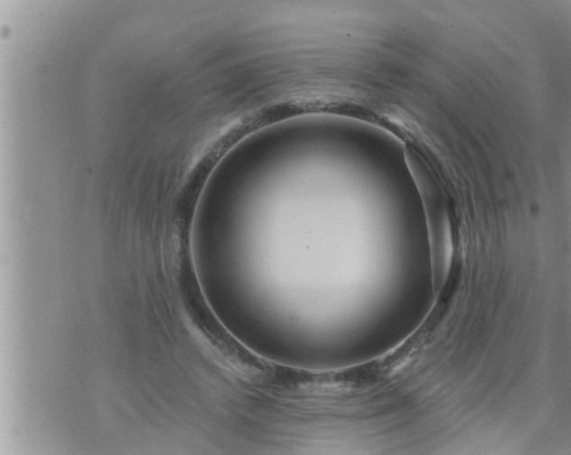 X0000073730448200608101934