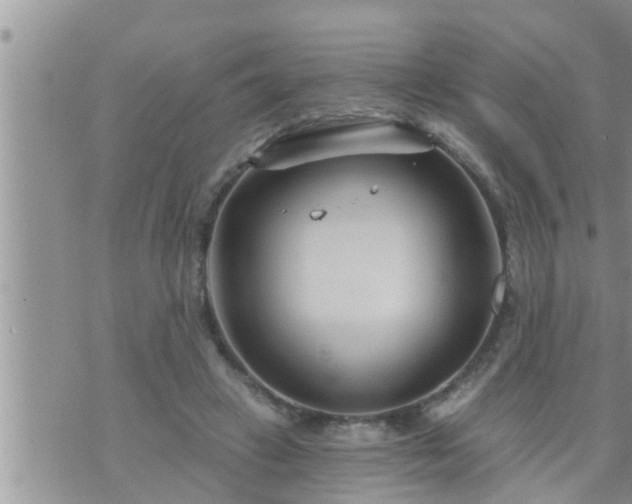 X0000073730449200608101934