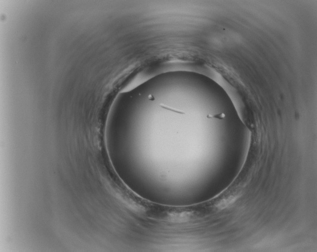 X0000073730450200608101934