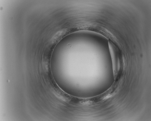 X0000073730452200608101934