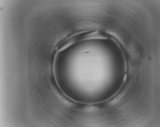 X0000073730453200608101934