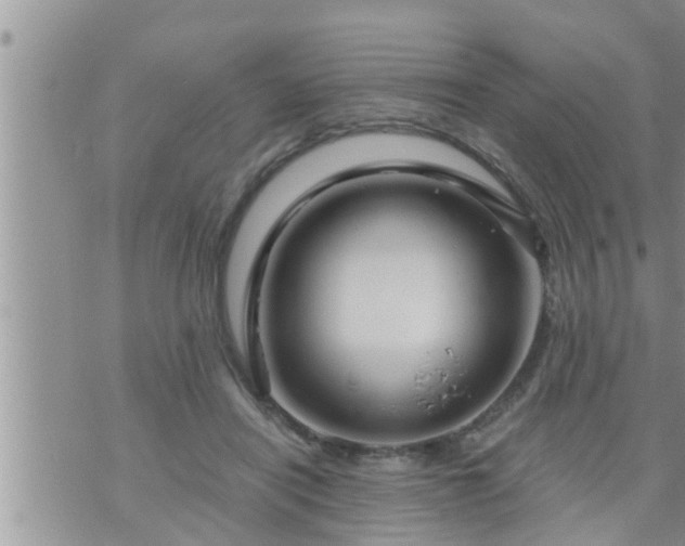 X0000073730454200608101934