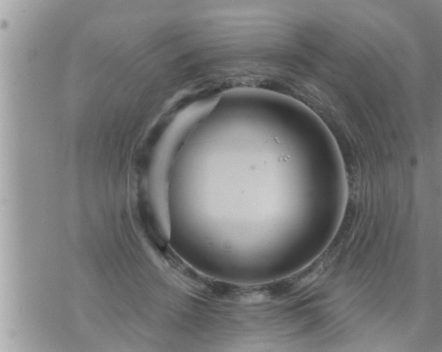 X0000073730456200608101934