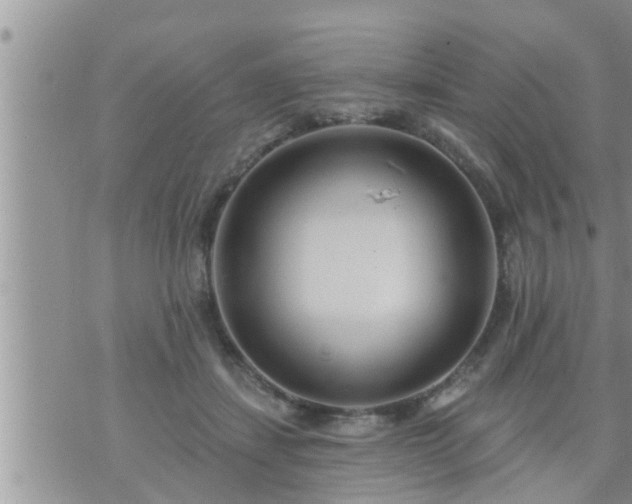 X0000073730459200608101934