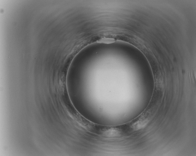 X0000073730460200608101934