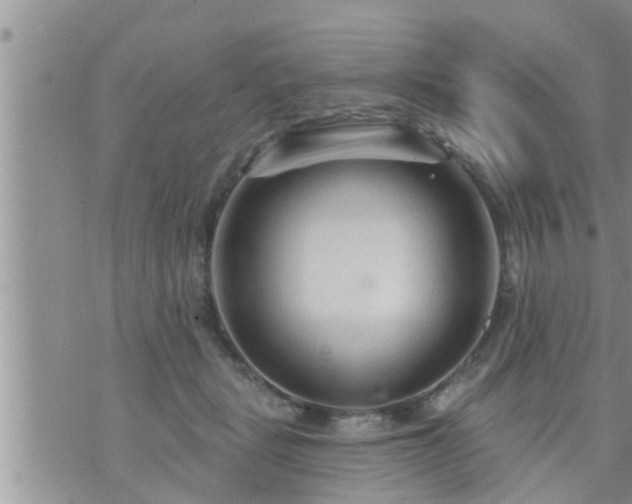 X0000073730461200608101934