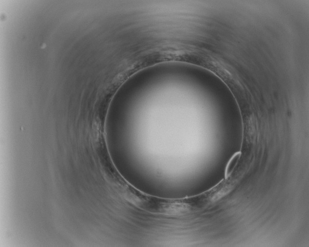 X0000073730463200608101934