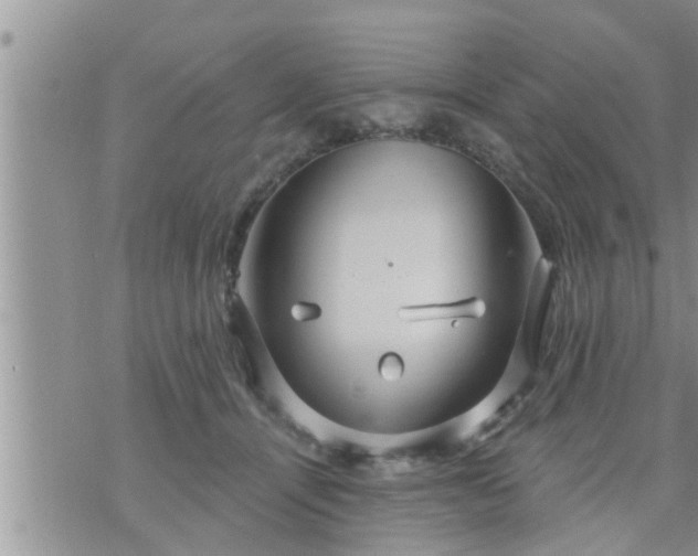 X0000073730464200608101934