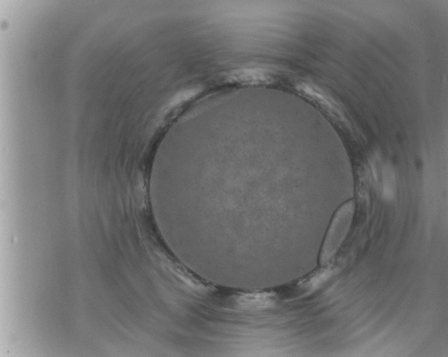 X0000073730465200608101934