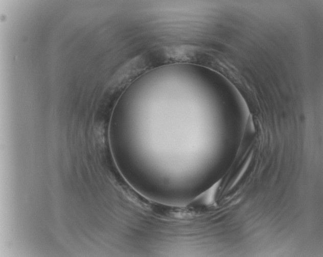 X0000073730466200608101934