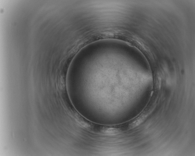 X0000073730467200608101934