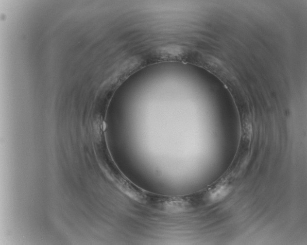 X0000073730468200608101934